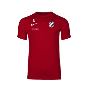 Nike Park VIII Trikot Rot F657