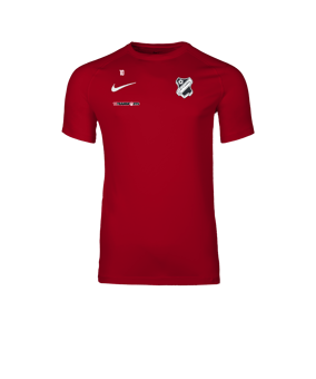 Nike Park VIII Trikot Rot F657