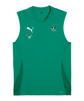 PUMA TeamGoal Trikot Grün F05