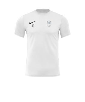 Nike Park VII Trikot kurzarm Weiss F100