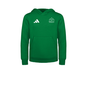 adidas Entrada 26 Hoody Kids Grün
