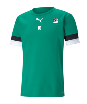 PUMA teamRISE Trikot Grün F05