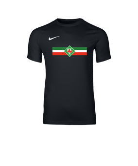 Nike Park VIII Trikot Schwarz F010