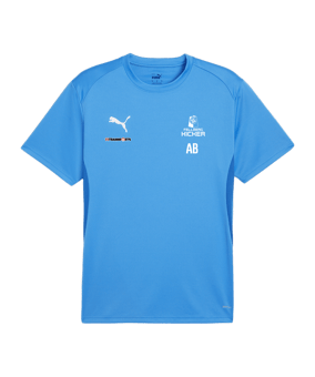 PUMA teamGOAL Trikot Blau F02