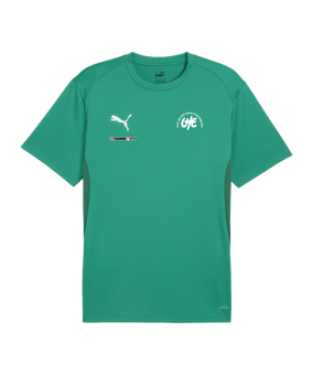 PUMA teamGOAL Trikot Grün F05