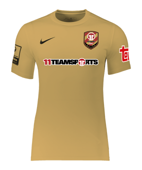 Academy Park VII Trikot Kids kurzarm Gold F729 - gold