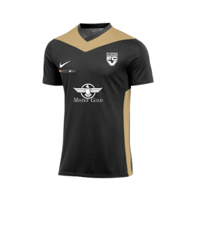Nike Park Derby IV Trikot Schwarz Gold F011
