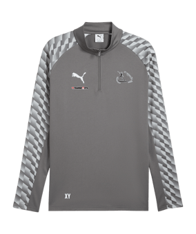 PUMA teamLIGA26 Training 1/4 Zip Top Grau F13
