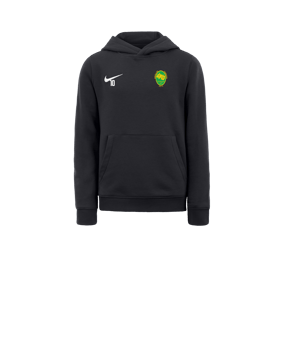 Sweat à capuche en polaire Nike Park 20 enfants Gris blanc F071