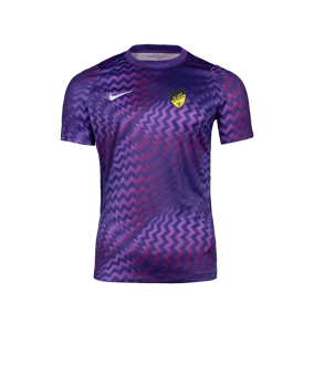 Nike Gardien VI Torwarttrikot Lila F507
