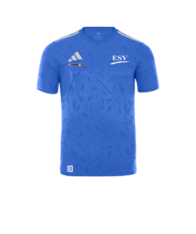 adidas Team Icon 25 Trikot Hellblau