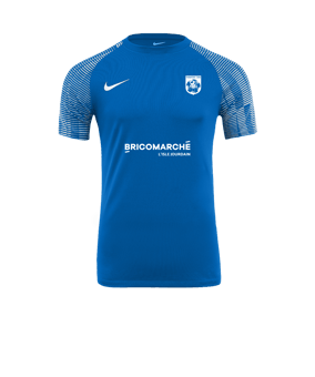 Maillot Nike Academy bleu blanc F463 