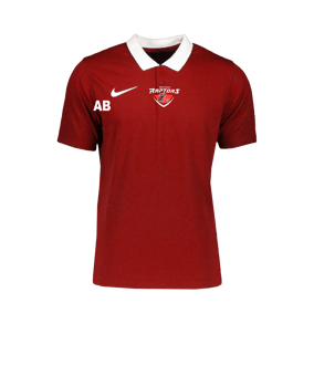 Nike Park 20 Poloshirt Rot Weiss F657