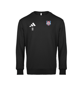 adidas Entrada 26 Sweatshirt Schwarz