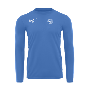 Nike Park VII Trikot langarm Blau F412