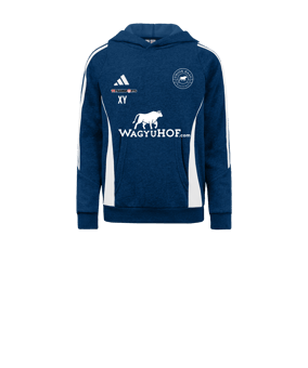 adidas Tiro 24 Hoody Blau Weiss