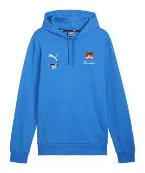PUMA teamGOAL Casuals Hoody Blau F02