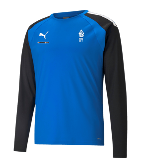PUMA teamLIGA Trainig Sweatshirt Blau F02