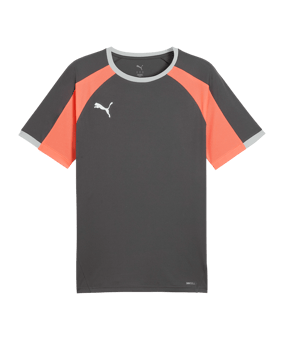 PUMA Individualliga Maglietta Grigio C10 - grigio