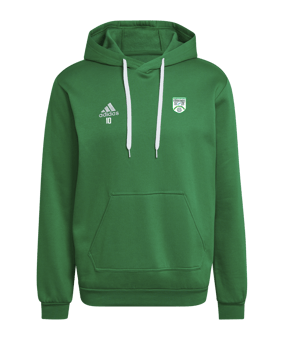 Sweat à capuche adidas Entrada 22 vert 