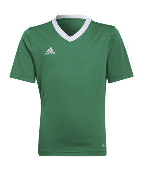 adidas Entrada 22 Trikot Kids Grün - gruen