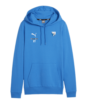 PUMA teamGOAL Casuals Hoody Damen Blau F02