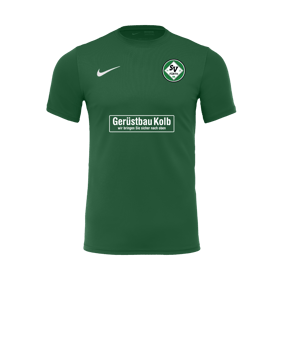 Nike Park VII Trikot kurzarm Grün F302