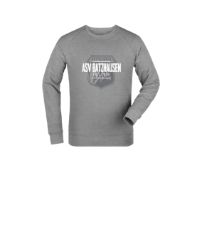 Merch Mini Changer 2.0 Sweatshirt Kids Heather Grey | #background