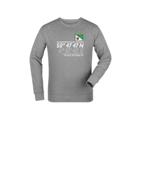 Merch Mini Changer 2.0 Sweatshirt Kids Heather Grey | #playground