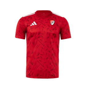 adidas Team Icon 25 Trikot Rot