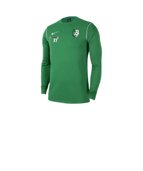 Nike Park 20 Sweatshirt Kids Grün Weiss F302