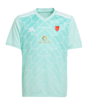 adidas Team Icon 23 Trikot Türkis