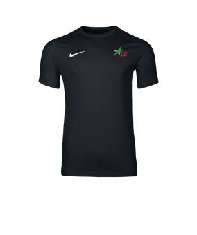 Nike Park VIII Maillot Noir C010