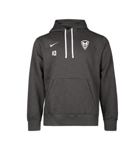 Nike Park 26 Hoody Grau F071