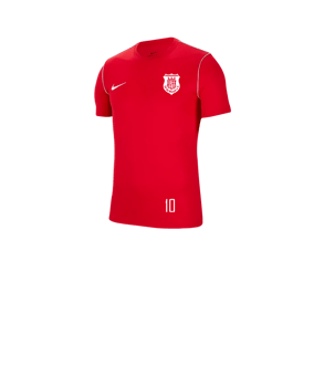 Nike Park 20 T-Shirt Kids Rot F657