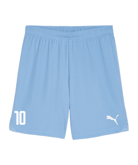 PUMA teamGOAL Short Blau Weiss F18