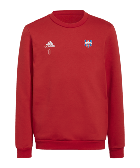 adidas Entrada 22 Sweatshirt Kids Rot