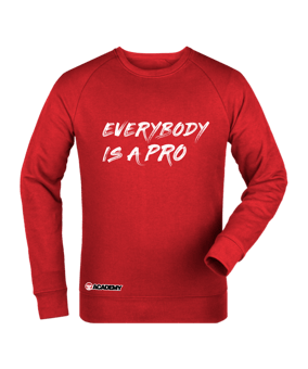 11ts Academy Sweatshirt Pro Rot - rot