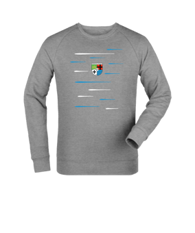 Merch Roller Sweatshirt Heather Grey | #lines