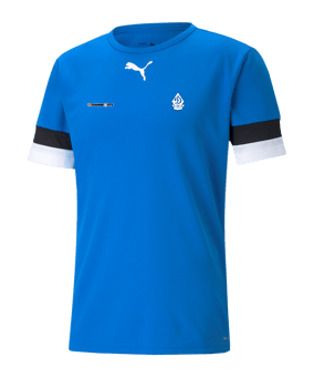 PUMA teamRISE Trikot Blau F02