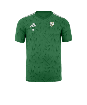 adidas Team Icon 25 Maillot Vert 