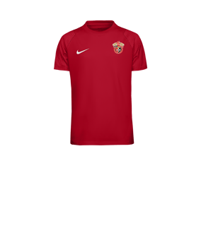 Nike Academy II Trikot Kids Rot F657