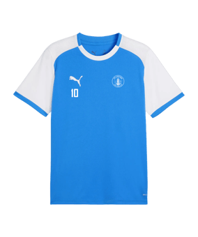 PUMA teamLIGA26 Matchday Trikot Blau F02