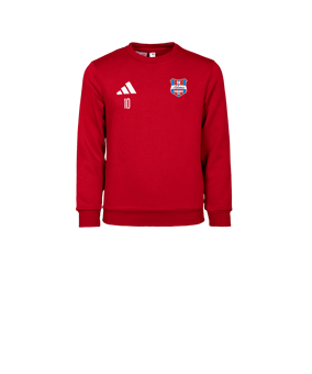 adidas Entrada 26 Sweatshirt Kids Rot