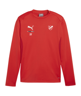 PUMA teamGOAL Training Sweatshirt Rot F01