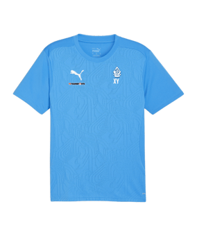 PUMA teamFINAL Trikot Blau F02