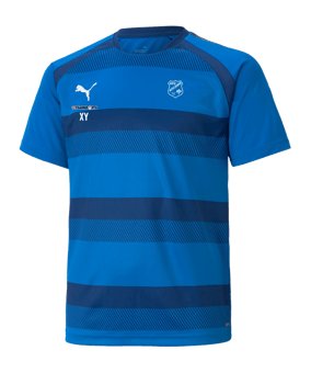 PUMA teamVISION Trikot Kids Blau F02