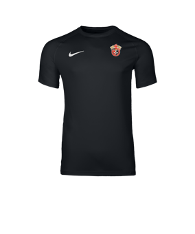 Nike Park VIII Trikot Schwarz F010