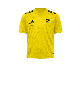 adidas Team Icon 25 Maillot Enfants Jaune 