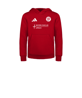 adidas Entrada 26 Hoody Kids Rot